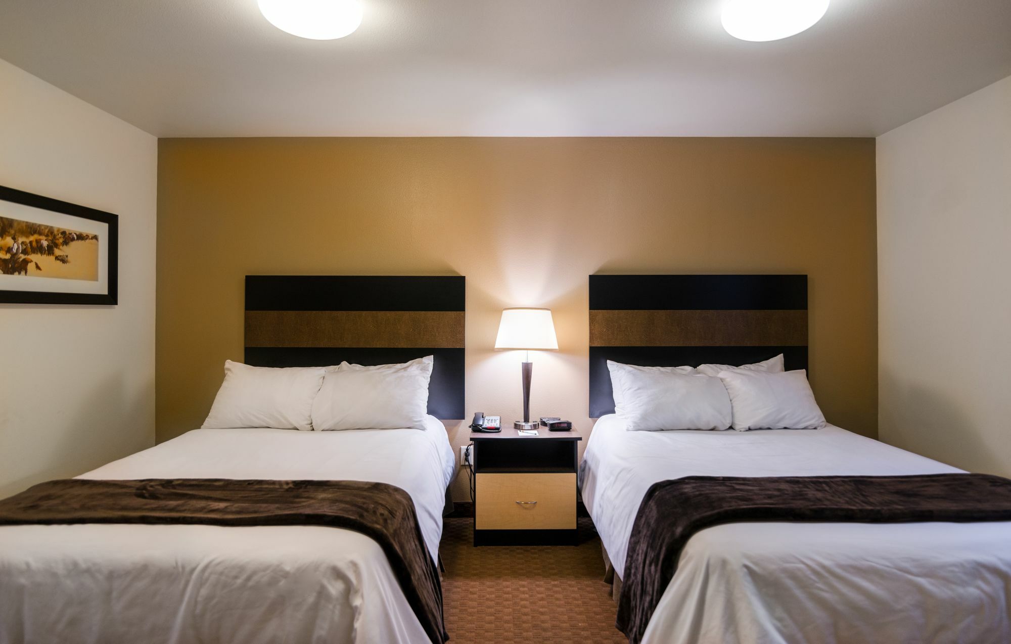My Place Hotel-Dickinson, Nd Bagian luar foto